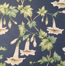 6 meters COLEFAX and FOWLER