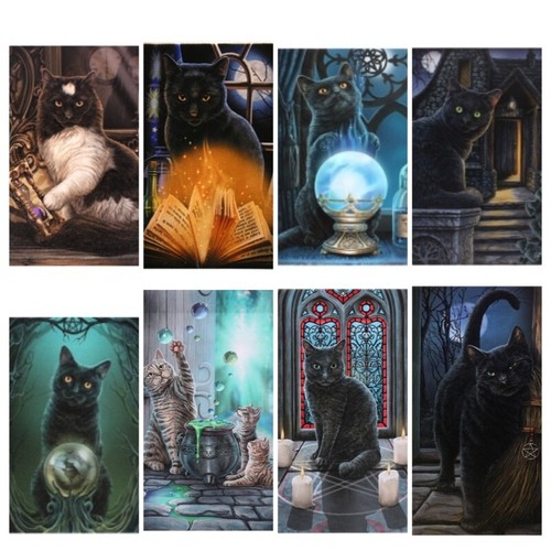Various cat canvas including