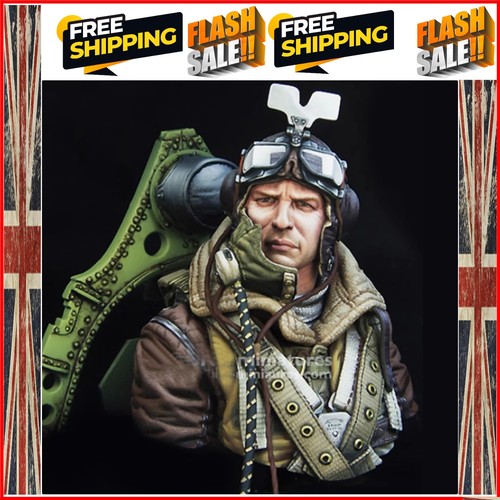 Raf spitfire l pilot - raf,