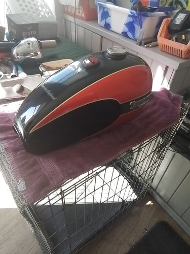 Triumph export tank - triumph,
