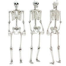 Giant Full Life Size Human