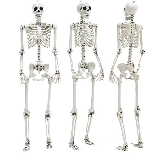 Giant full life - full, human