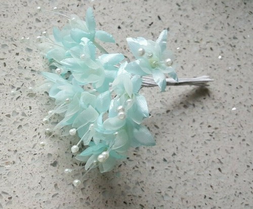 Pretty babys babies breath - babies,