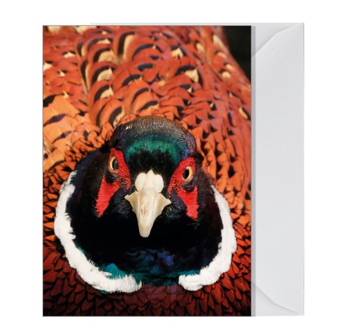 Gun game pheasant - game, blank
