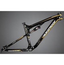 Frame Pivot Bearing Kit |