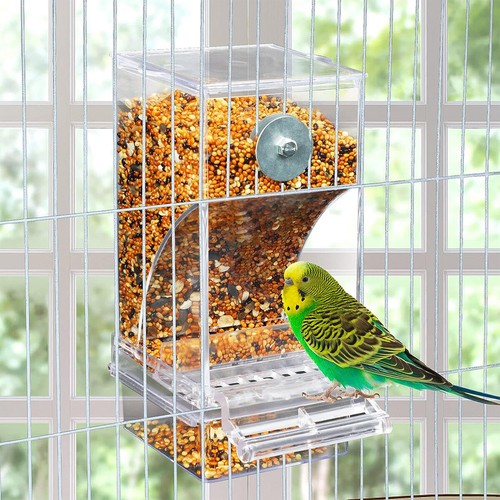 Auto bird feeder - auto, cup