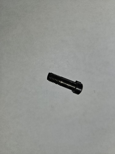 Bsa light screw - light,