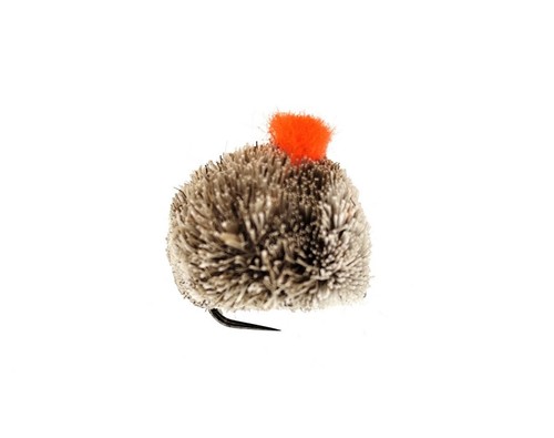 Carp dog biscuit flies - dog, uv