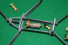 Sheep race model - sheep,