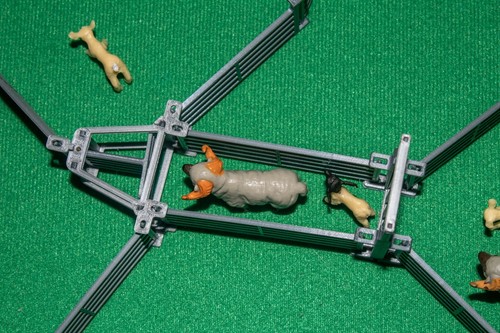 Sheep race model farm - race,