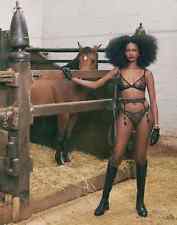 AGENT PROVOCATEUR BLACK HENRIETTA BRA 32B/C/D 34B/C 36B/C/DD & SUSPENDER & KNIX