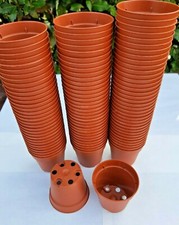 50x VASI PLASTICA  cm Ø 5,5 H x H 5 x L 0,08 SEMINA GERMINAZIONE PIANTINE CACTUS