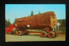 1968 Giant Fir Log Old Truck Forests of Oregon and Washington Logging Lumberjack