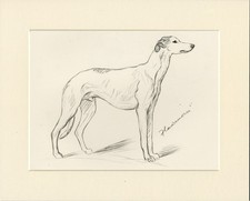 GREYHOUND VINTAGE 1937 DOG ART