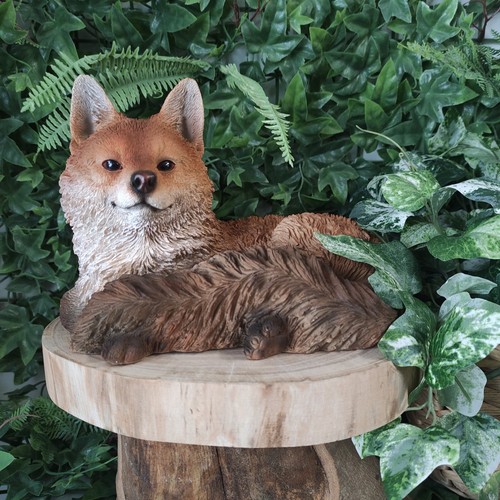 Vivid arts resting fox - cub,