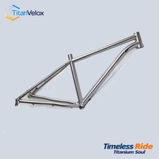 TitanVelox Titanium MTB Bike