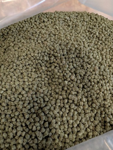 10kg medium green - 10kg,