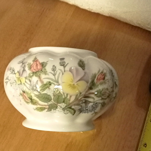 Aynsley wild tudor fine - wild,