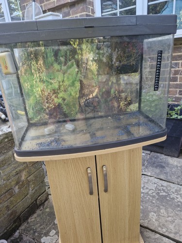 Fish tank stand - fish,
