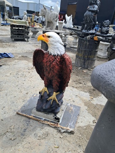 Bald eagle mould latex - eagle, and