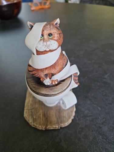 Comic curious cats - cats, tied
