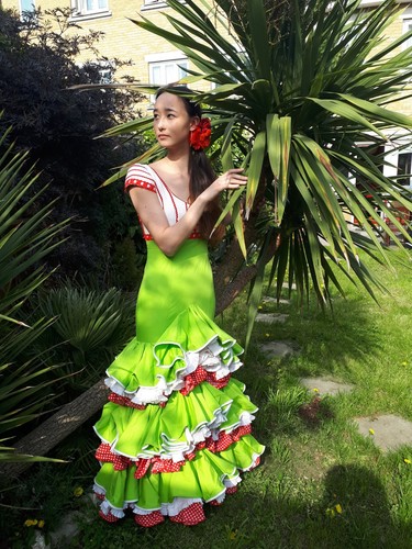 Stunning flamenco dress - stunning,
