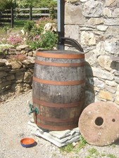 EX WHISKEY 40 GALLON OAK BARREL - IDEAL GARDEN ALLOTMENT WATER BUTT - WATERTIGHT