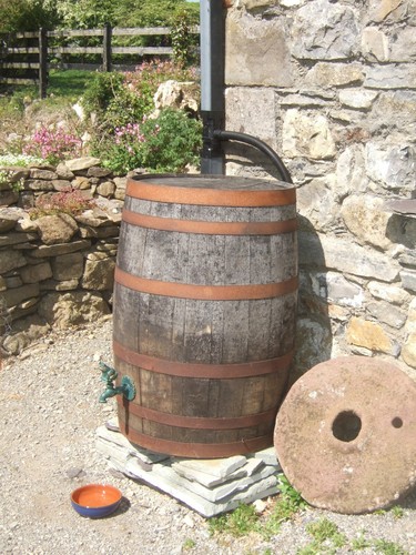 Whiskey gallon oak barrel - 40,