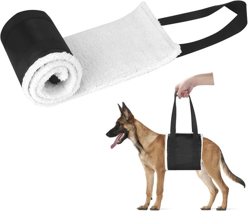 Dog mobility aids support - dog,