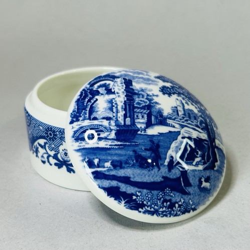 Vintage fine bone china - bone, spode