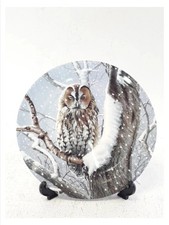 Wedgwood Woodland Winter I Spy