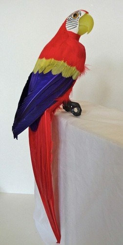 Red macaw parrot - parrot, decorative