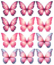 Pink Butterflies, 12, 18 or 24