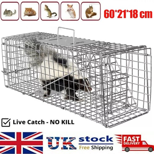 Rat squirrel trap heavy duty - squirrel,