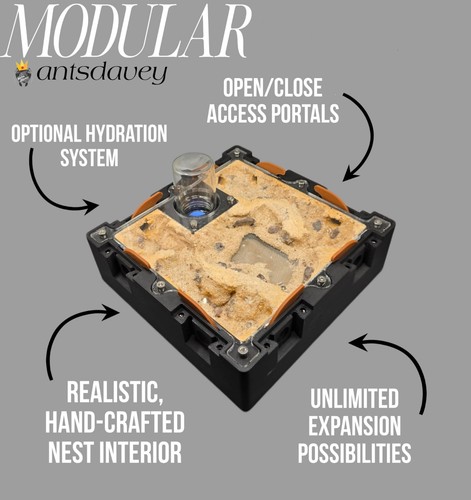 Modular medium nest - modular,