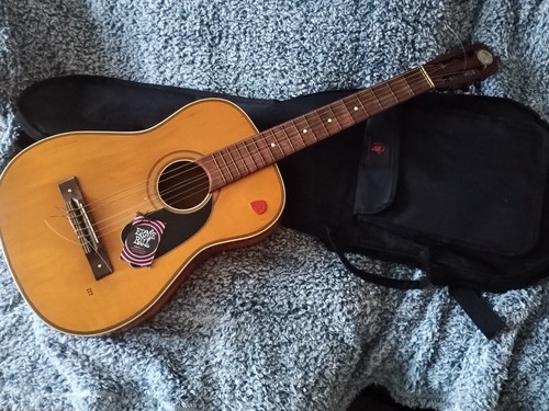 Selmer 222 acoustic flat top - acoustic,