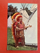 INDIGENEOUS NATIVE AMERICAN