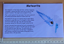 Meteorite Fragment Campo del Cielo Argentina on Card  x 1   Iron Nickel 5800 yr