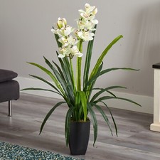 39" Large Cymbidium Orchid