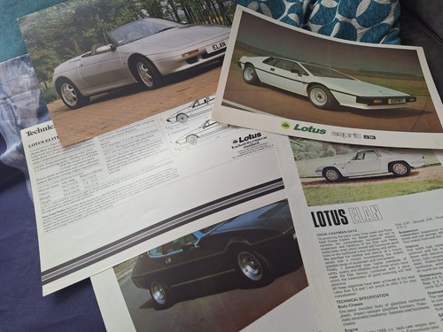 Lotus brochures small job - brochures,