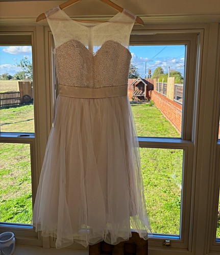 Jjshouse ivory champagne - jjshouse, lace