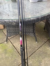 Browning Match 3600 12ft Rod