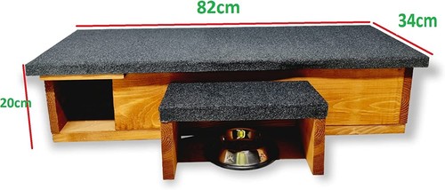 Hedgehog house and - hedgehog,