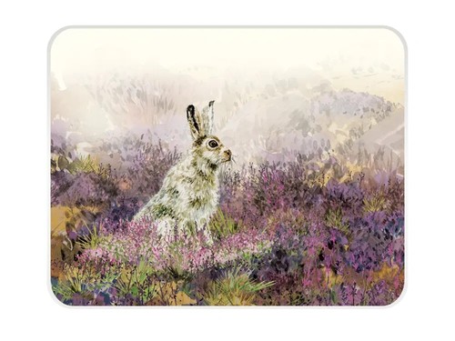 Mountain hare tuftop - nt,