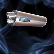 Aprilia RSV1000 MILLE 1998-2003 Exhaust Silencer Muffler - Twin Port - Titanium