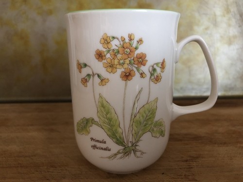Rose england fine - rose,