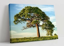 TREE 1 CANVAS WALL ART FLOAT