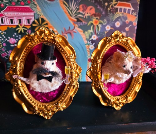 Mouse taxidermy wedding framed - taxidermy,