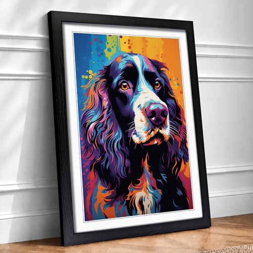 English springer spaniel pop - english,