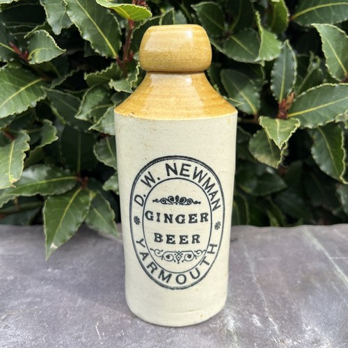 Newman yarmouth ginger - w.,